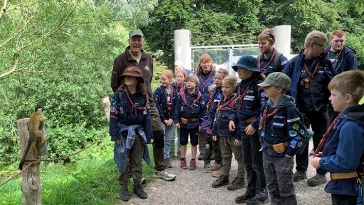 Minispejdere kigger på en abe i Ree Park